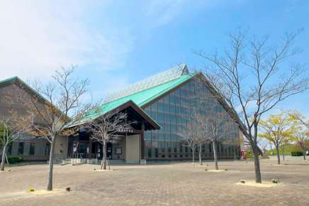 楠緑地運動施設