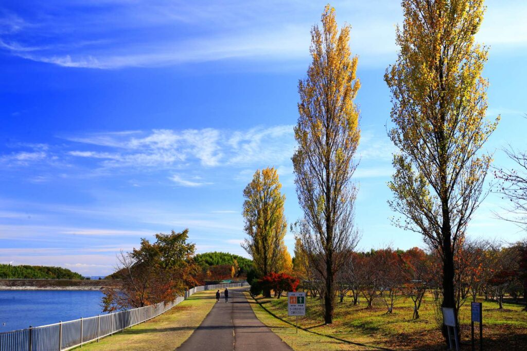 伊坂ダムサイクルパーク