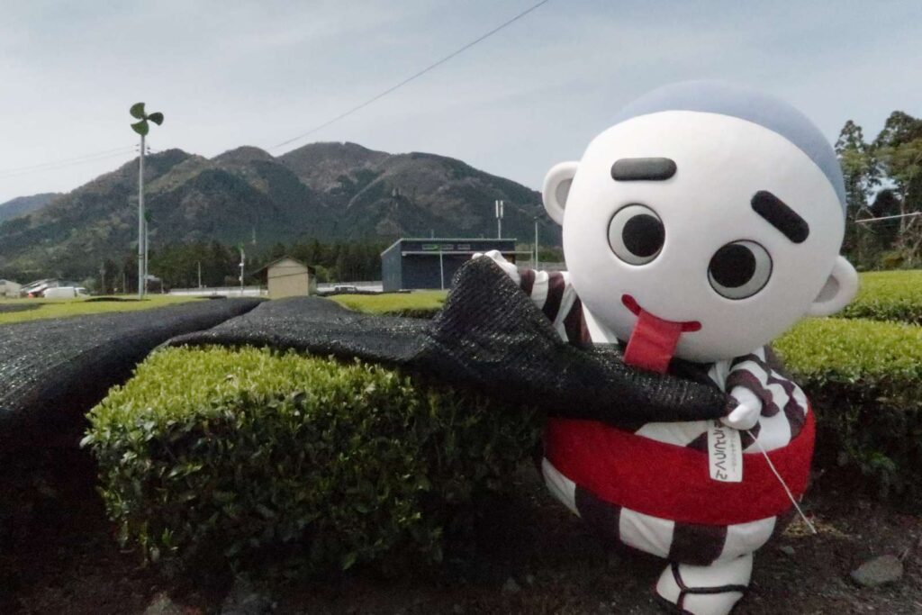 かぶせ茶カフェ