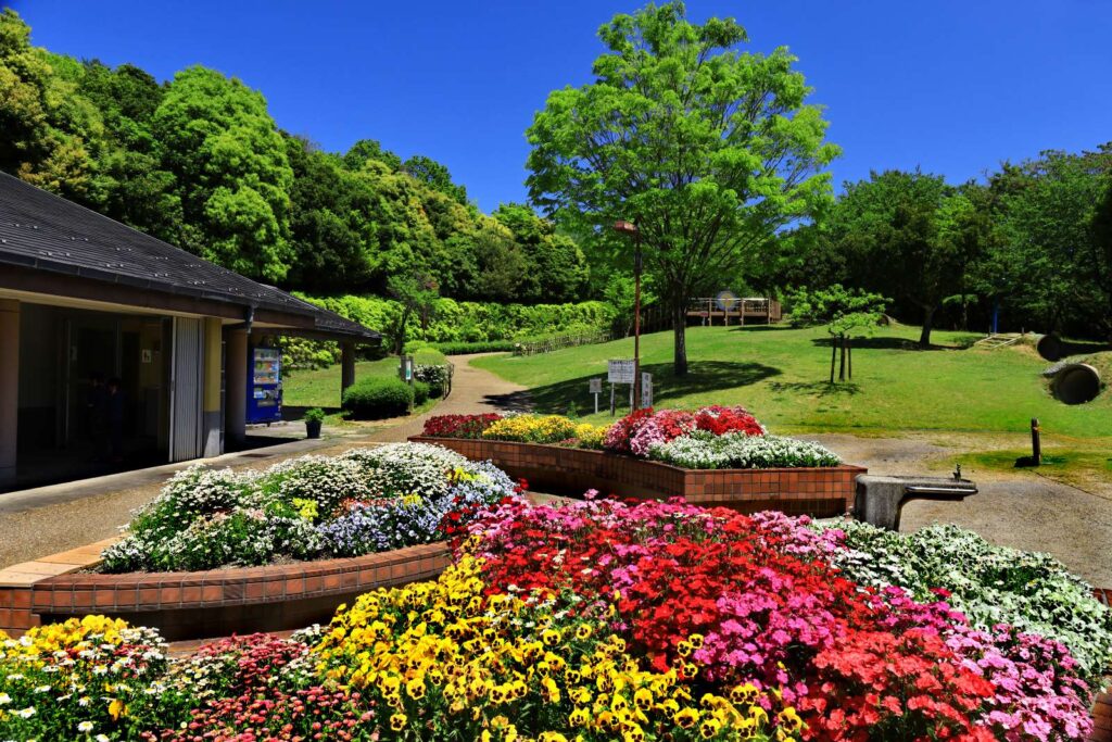 垂坂公園・羽津山緑地