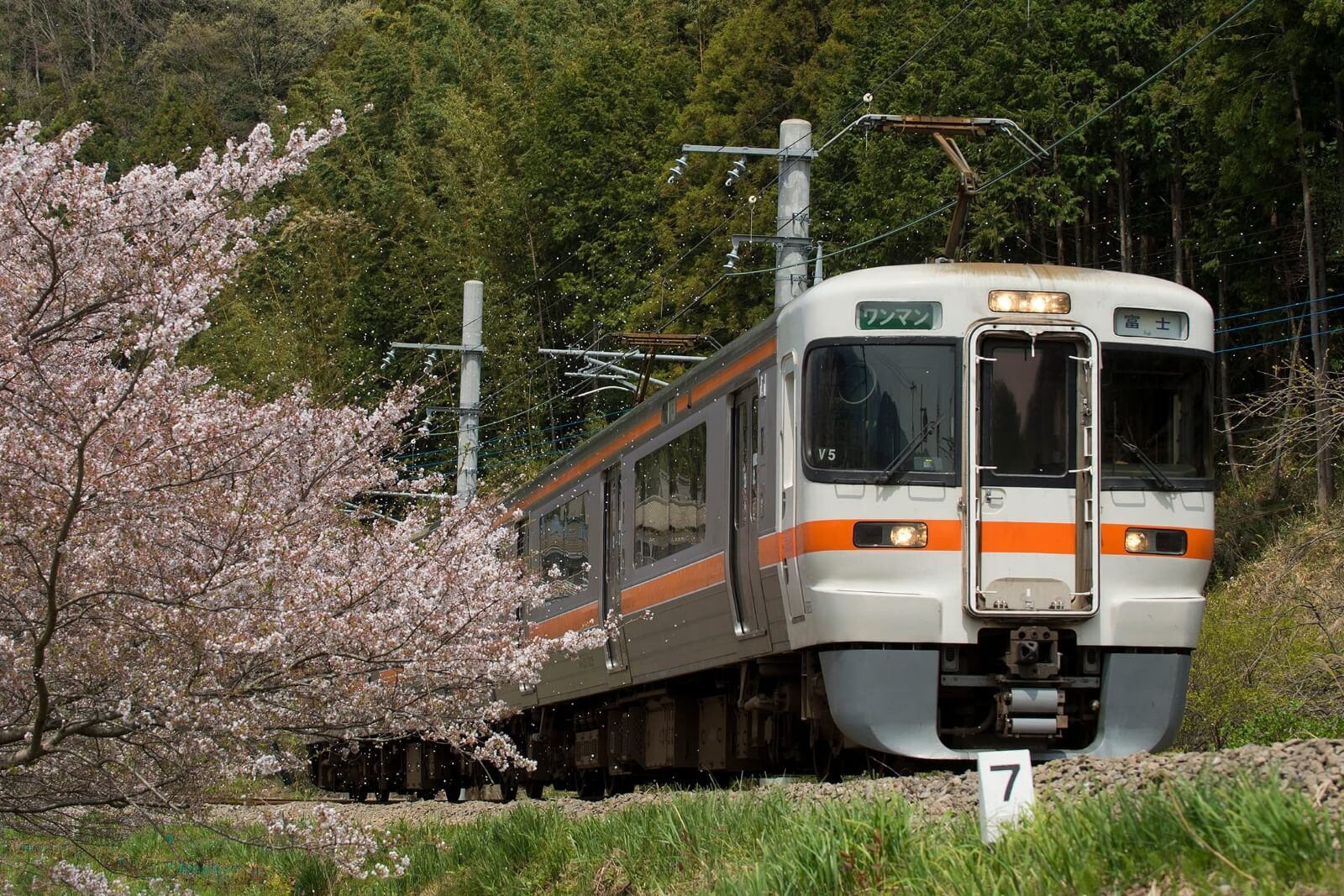 東海旅客鉄道株式会社(JR東海)