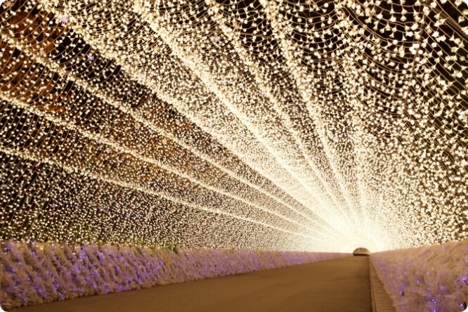 なばなの里_光のトンネル