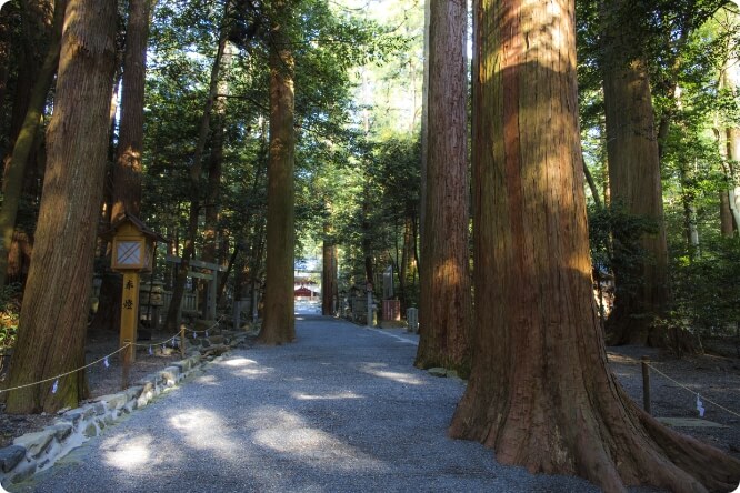 椿大神社 参道